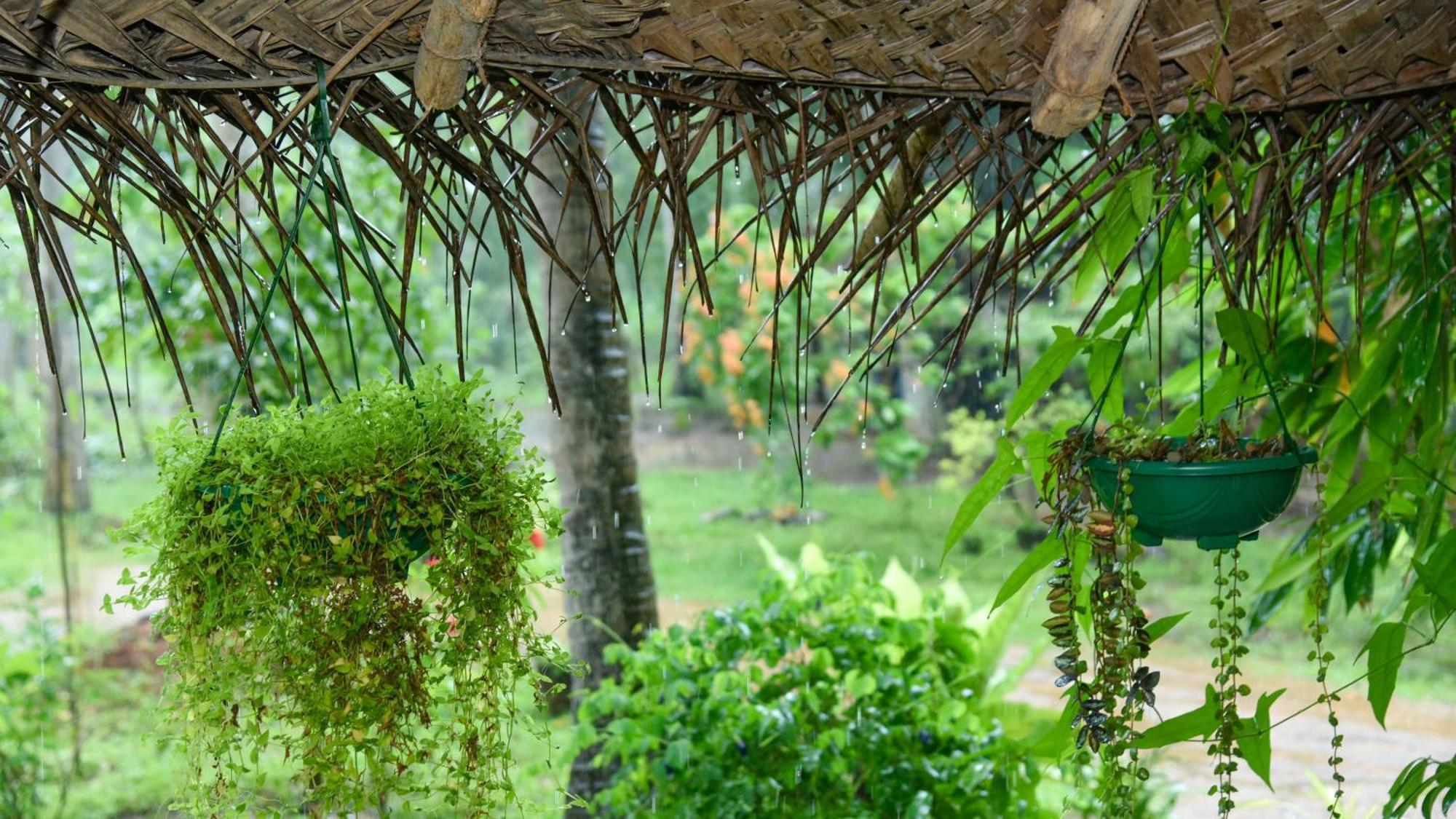 Prem Nadee Homestay Dambulla Exterior foto